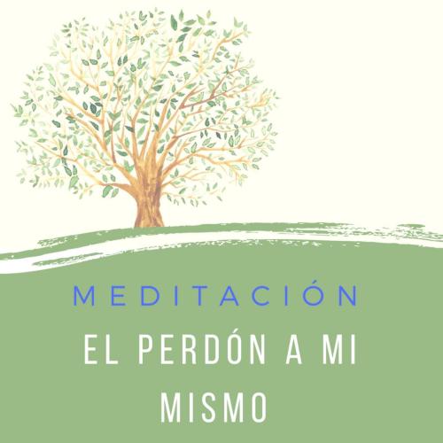 Vídeo: "Meditación El Perdón a Mi Mismo"