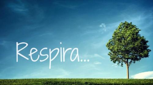 Bienestar Diario: Técnicas de respiración consciente Bienestar Diario: Técnicas de respiración consciente