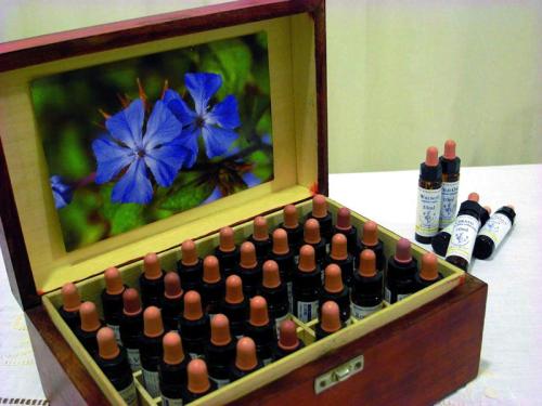 Los Siete Defectos Los Siete Defectos