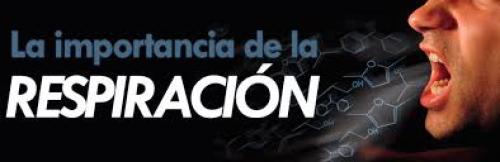 "Bienestar Diario: La Respiración" "Bienestar Diario: La Respiración"