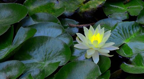 Masaje Ruta del Agua Masaje Ruta del Agua