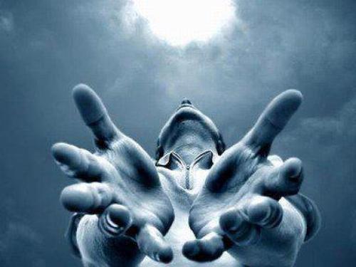 El Único deseo El Único deseo