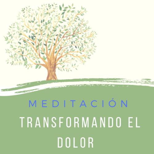Vídeo: "Meditación Transformando el dolor" Vídeo: "Meditación Transformando el dolor"