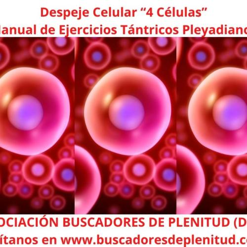 Despeje Celular "4 Clulas" - Ejercicios Tntricos Pleyadianos 13