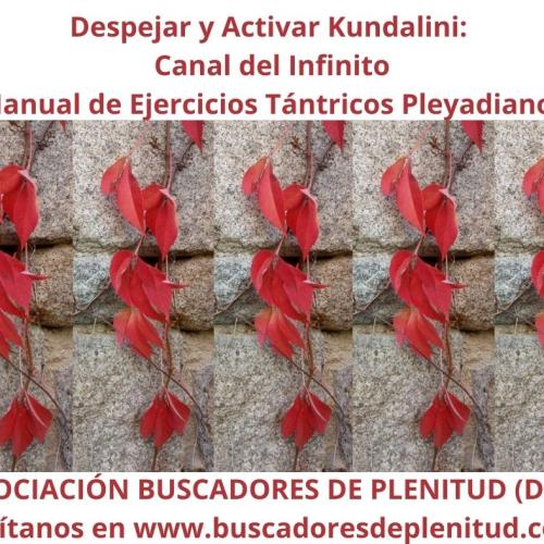 Despejar y Activar Kundalini - Canal del Infinito - Ejercicios Tntricos Pleyadianos 21