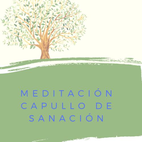 Meditacin Capullo de Sanacin