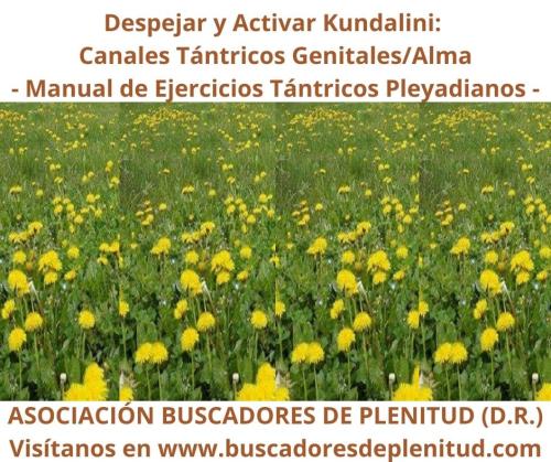 Despejar y Activar Kundalini - Canal Tntrico Genitales/Alma - Ejercicios Tntricos Pleyadianos 20