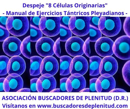Despeje y Sanacin Celular "8 Clulas Originarias" - Ejercicios Tntricos Pleyadianos 14
