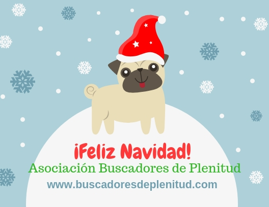 Asociacin Buscadores de Plenitud