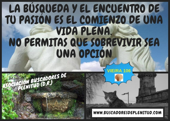 Asociacin Buscadores de Plenitud