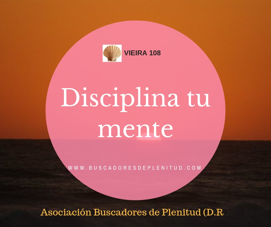 Asociacin Buscadores de Plenitud