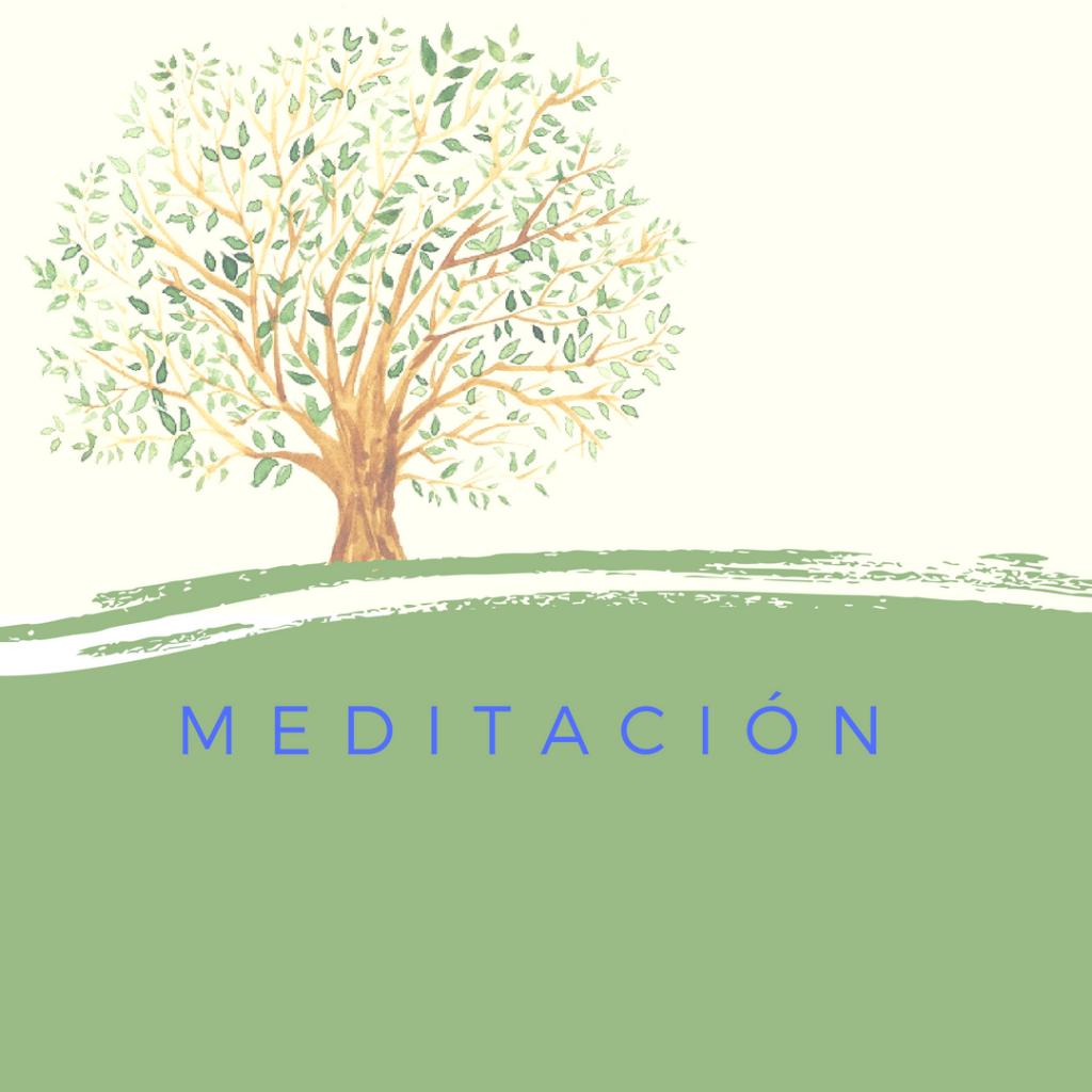 Asociación Buscadores de Plenitud