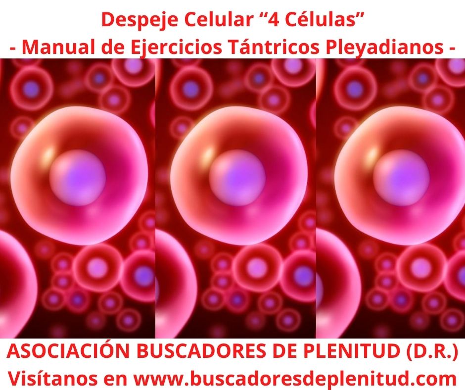 Asociacin Buscadores de Plenitud