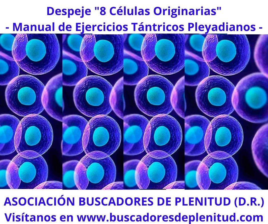 Asociación Buscadores de Plenitud