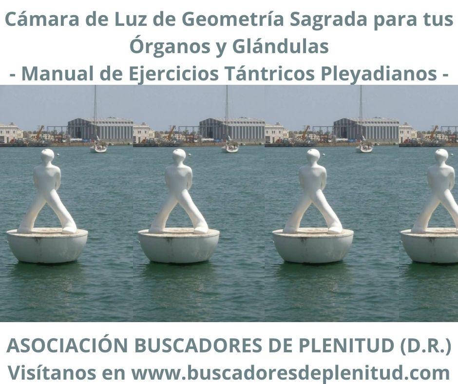 Asociación Buscadores de Plenitud