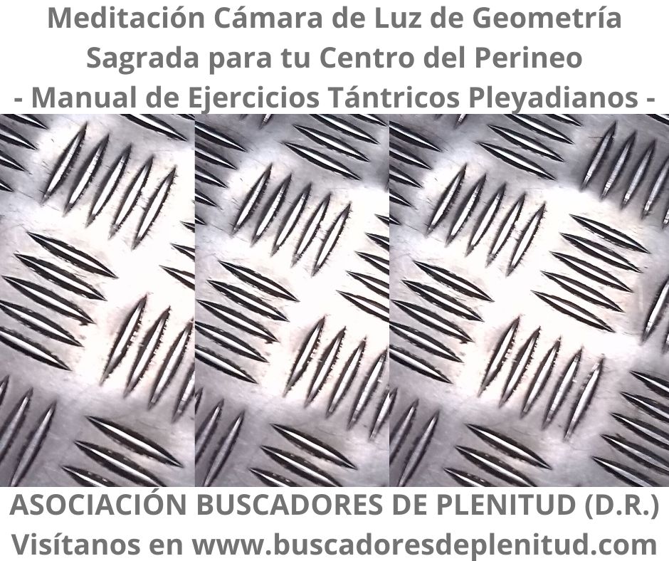 Asociación Buscadores de Plenitud