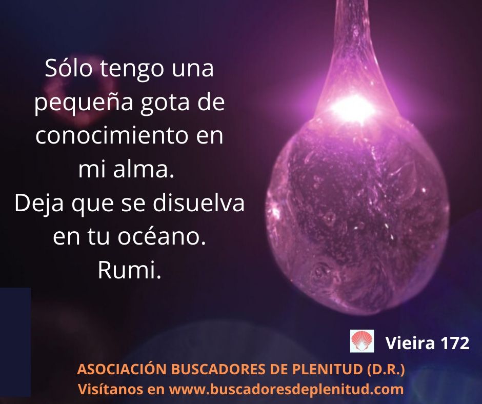 Asociacin Buscadores de Plenitud